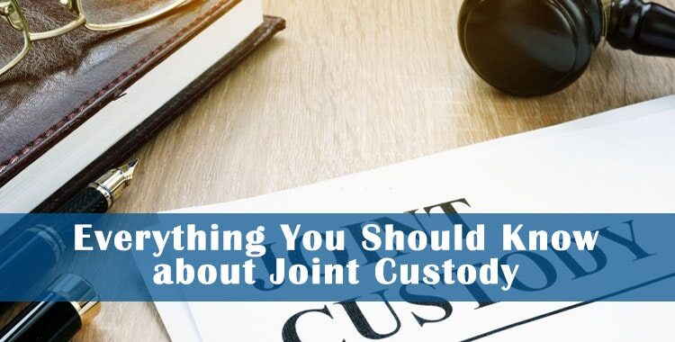 Joint Custody